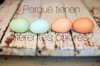 color-huevos.png